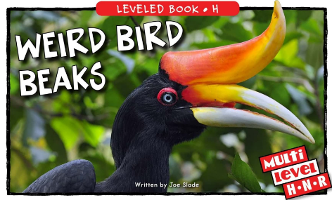 Weird Bird Beaks绘本PDF+MP3资源免费下载