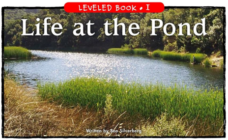 Life at the Pond绘本PDF+音频资源免费下载