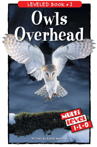 Owls Overhead绘本电子版+MP3百度云免费下载