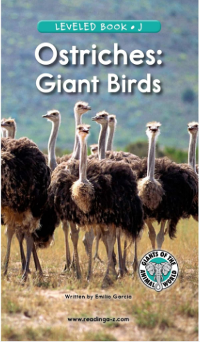 Ostriches Giant Birds绘本电子版+音频百度网盘免费下载