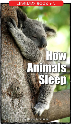 How Animals Sleep绘本电子版+MP3百度网盘免费下载