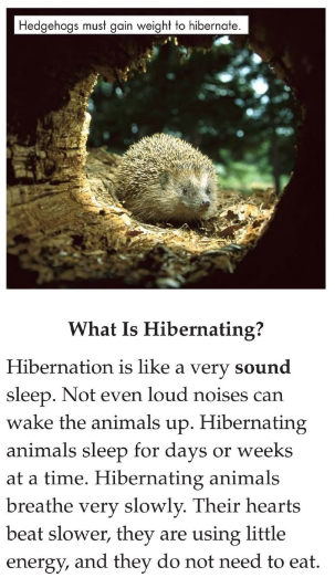 Hibernation绘本PDF+MP3百度云免费下载