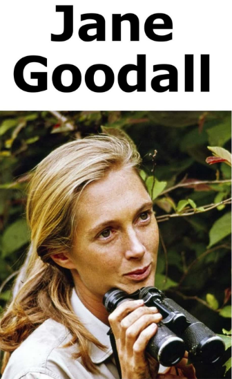 Jane Goodall绘本PDF+音频百度网盘免费下载