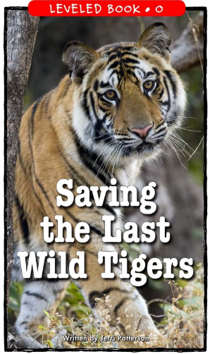 Saving the Last Wild Tigers绘本PDF+音频百度网盘免费下载