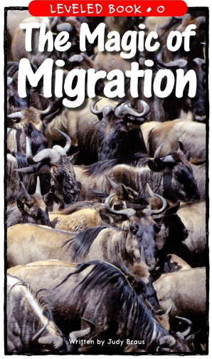 The Magic of Migration绘本PDF+音频百度网盘免费下载