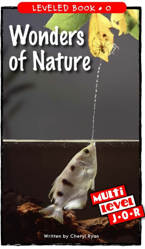 Wonders of Nature绘本PDF+音频百度网盘免费下载