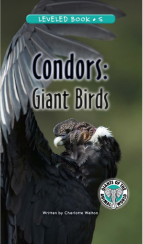 Condors Giant Birds绘本PDF+MP3百度网盘免费下载