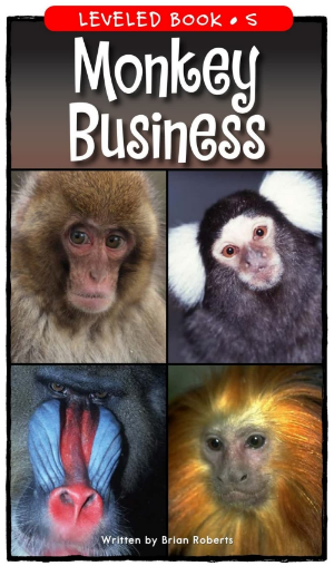 Monkey Business绘本PDF+MP3百度网盘免费下载