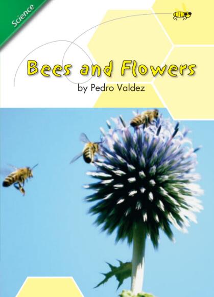 Bees and Flowers英文绘本翻译及pdf资源下载