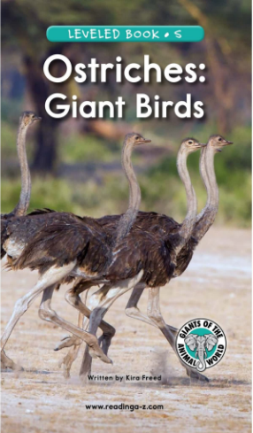 Ostriches Giant Birds绘本PDF+MP3百度网盘免费下载