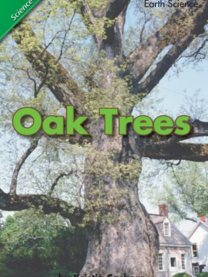 Oak Trees英语绘本翻译及pdf资源下载