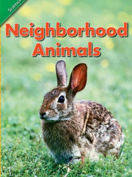 Neighborhood Animals少儿英语绘本翻译及pdf资源下载