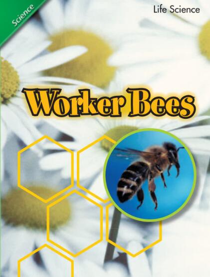 Worker Bees英语绘本翻译及pdf资源下载