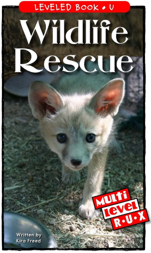 Wildlife Rescue绘本PDF+音频百度网盘免费下载