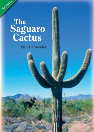 The Saguaro Cactus英语绘本翻译及pdf资源下载