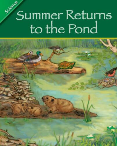 Summer Returns to the Pond英语绘本翻译及pdf资源下载