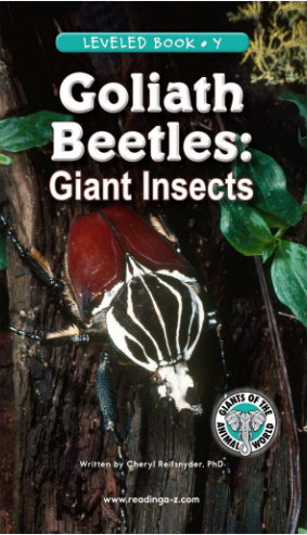 raz Y级阅读Goliath Beetles Giant Insects绘本PDF+音频百度网盘免费下载