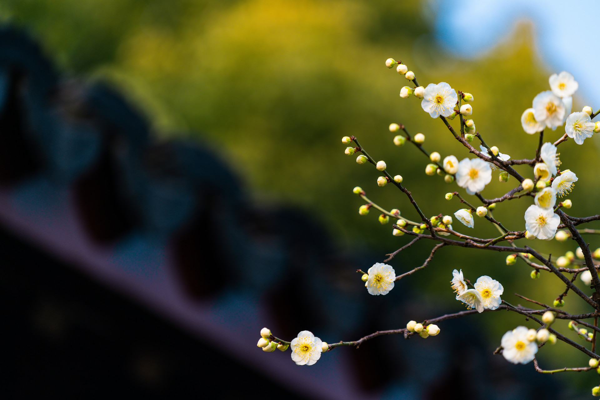 属相是按立春算还是春节算