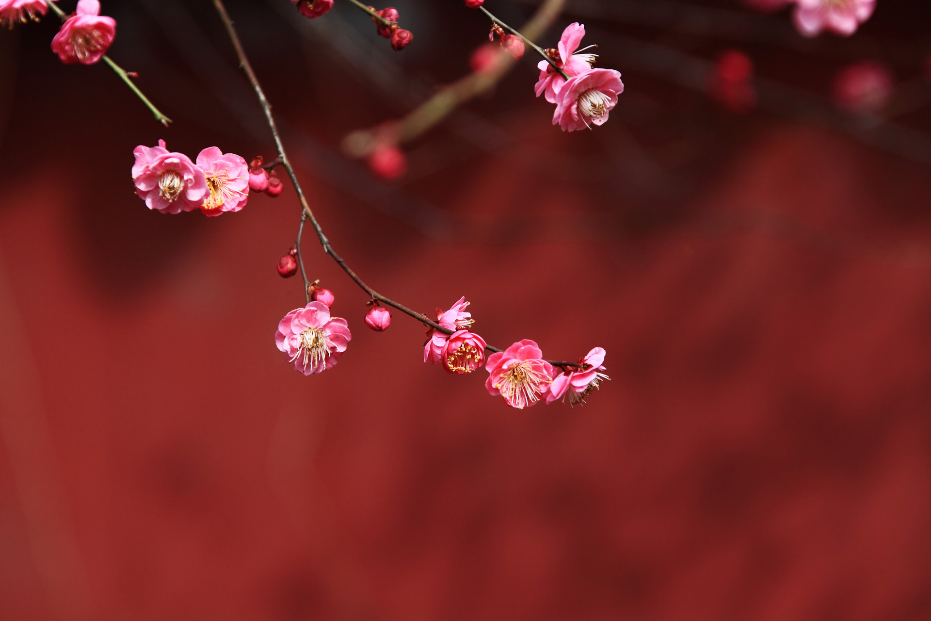 小雪节气吃什么传统美食