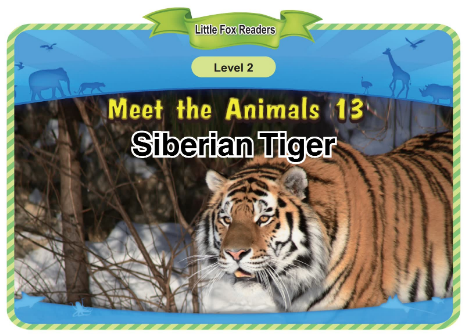 Meet the Animals 13 Siberian Tiger音频+视频+电子书百度云免费下载