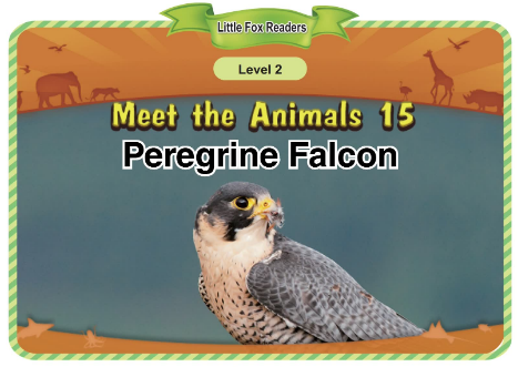 Meet the Animals 15 Peregrine Falcon音频+视频+电子书百度云免费下载