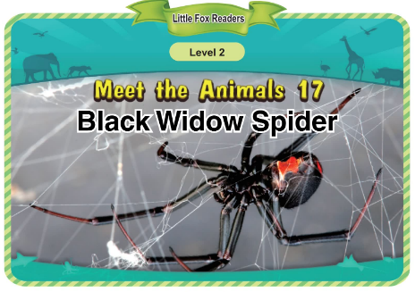 Meet the Animals 17 Black Widow Spider音频+视频+电子书百度云免费下载