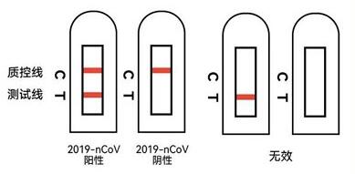 新冠抗原检测结果怎么看