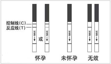 检测怀孕的方法：早孕试纸