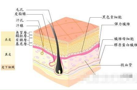 什么东西可以淡化斑，什么祛斑产品效果最好