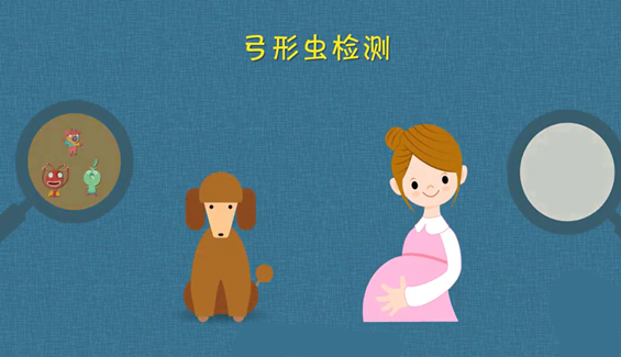 孕期养宠物需要注意什么？