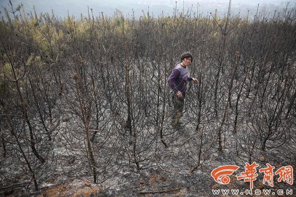 半岛在线体育网相关推荐6