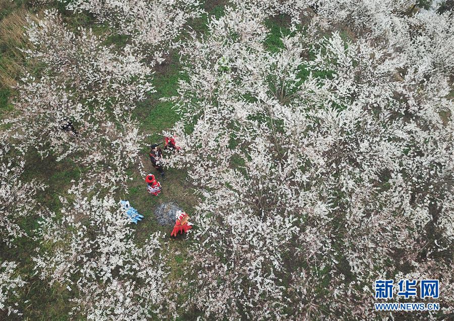 乐竞体育链接入口-河南一高校招生科副科长被举报聚众淫乱
，校方：纪委已介入核查