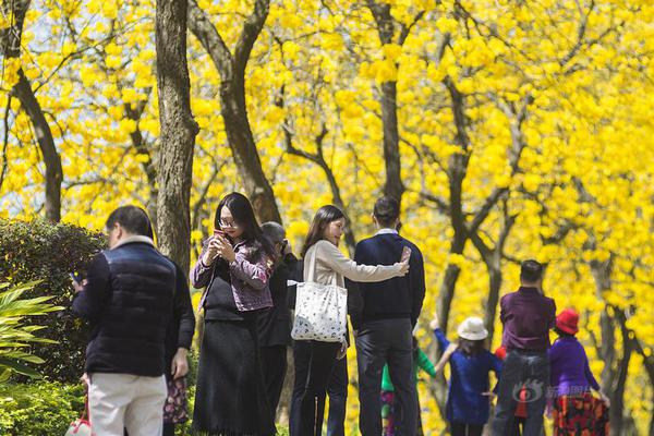 开云游戏app平台-直播回放�：十四届全国人大二次会议第二场“代表通道”