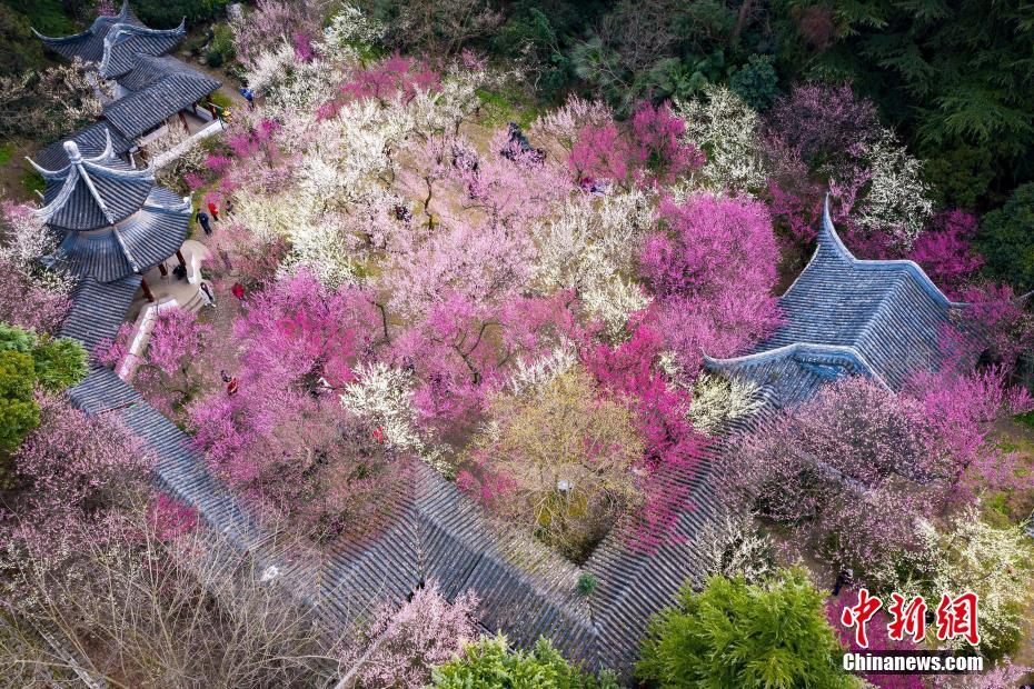 开云手机在线官网相关推荐4