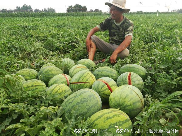 bat365下载app-周雨彤一次醉酒换来一生内向