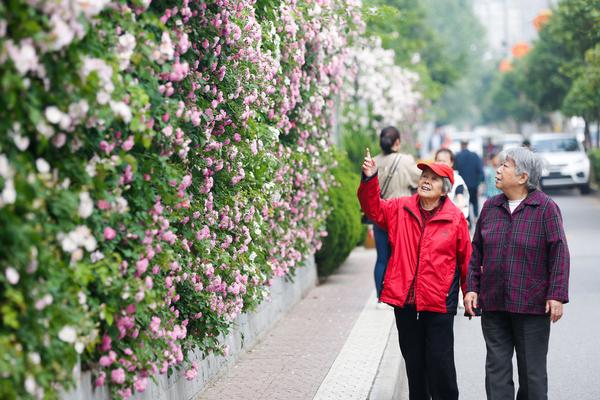 开云官方网站在线登陆-网文出海，老外也爱看“霸总”