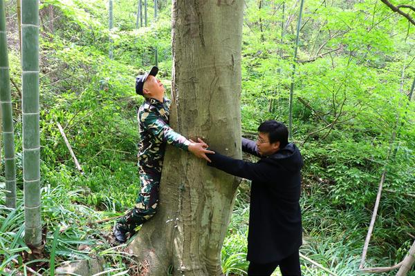 问鼎电子娱乐下载相关推荐2”