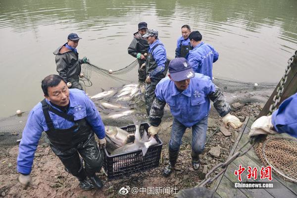 kok最新平台相关推荐3