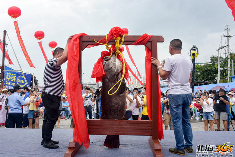 美狮贵宾线路检测中心相关推荐1