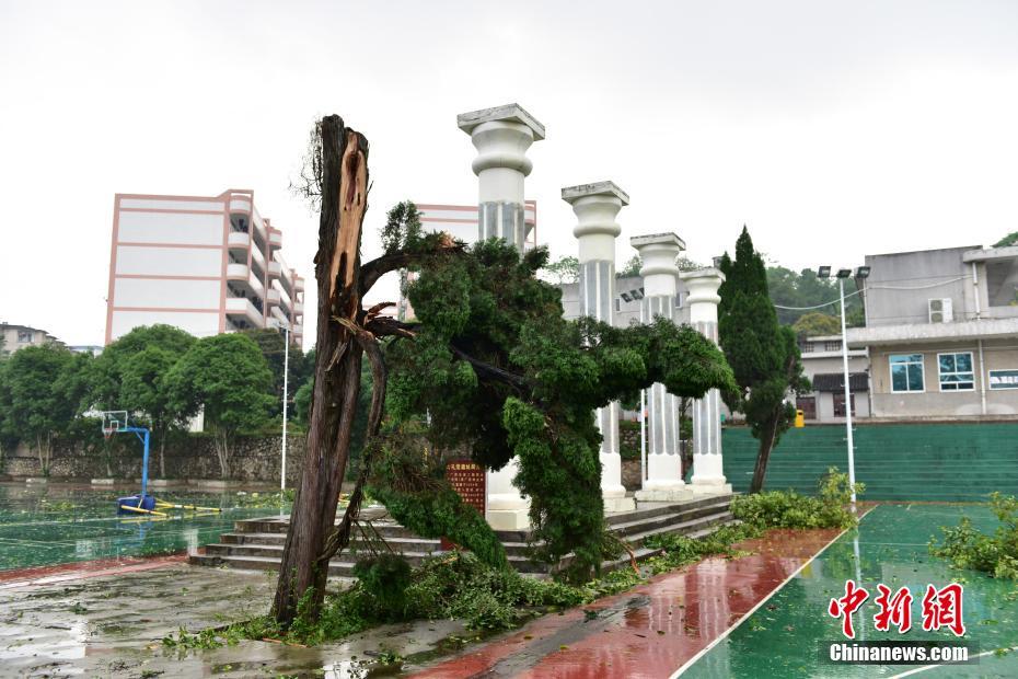 od平台在线登录相关推荐8