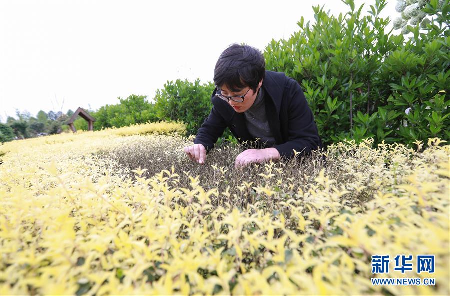 澳门大阳城集团网址