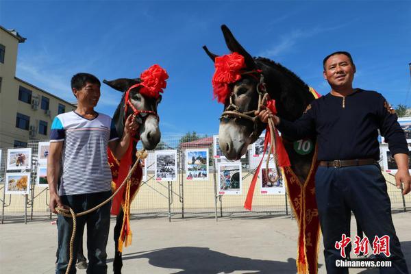 乐鱼网页版登录入口-乐鱼网页版登录入口