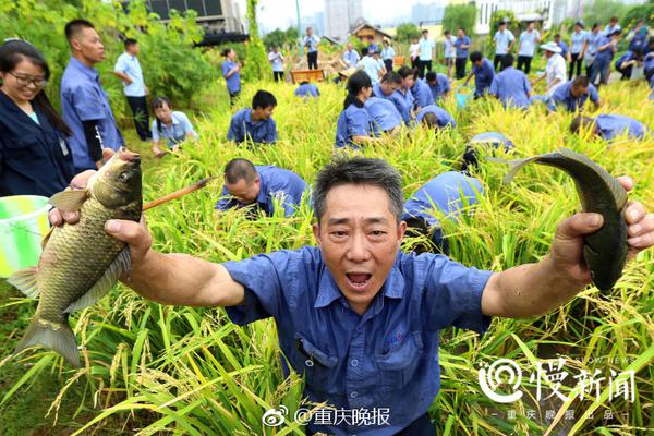 星空体育在线网页版相关推荐7