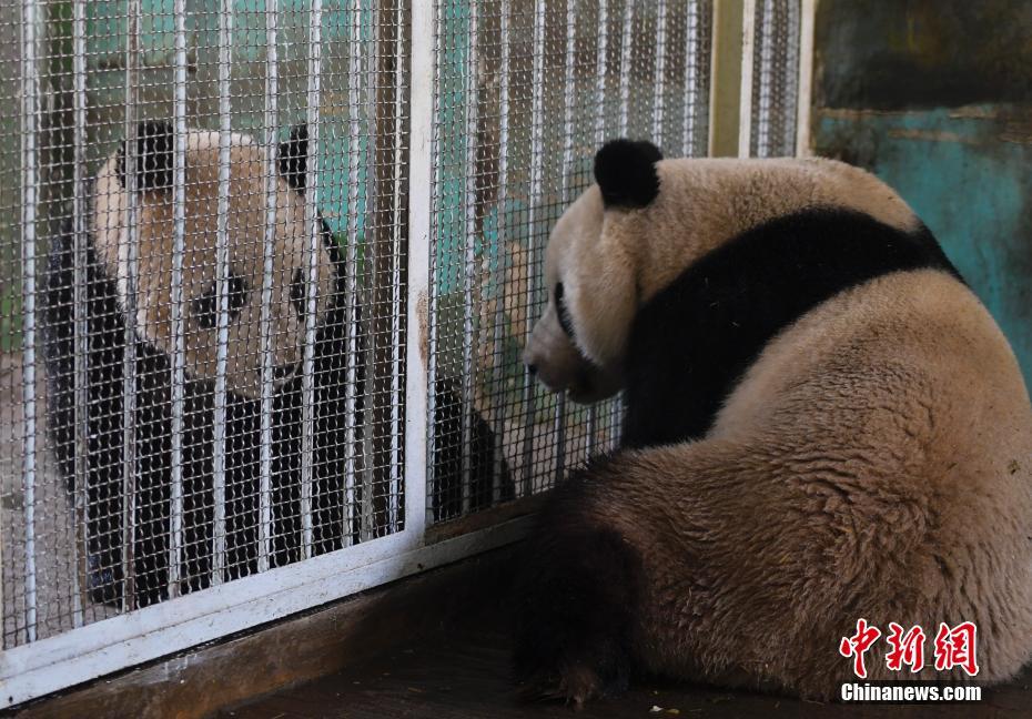 博奥体育app在线下载相关推荐2”