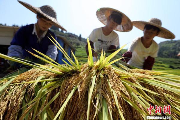 开云app最新官方下载相关推荐4