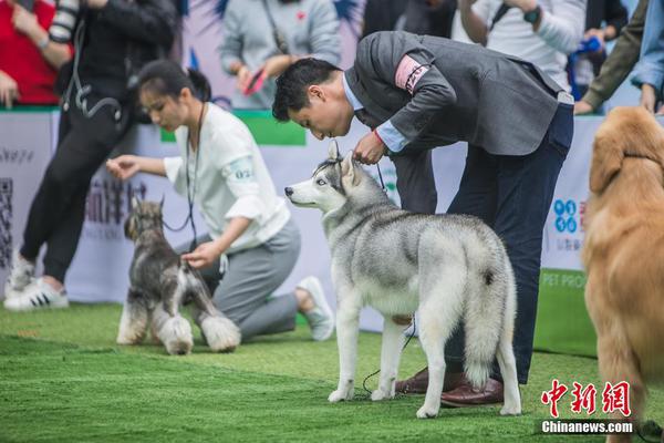 乐竞官方在线登录相关推荐3