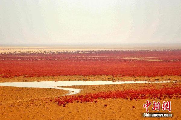 8868体育官网ios下载-中国气象局发布大地磁暴预警