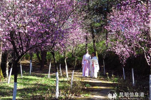 天博tb登录界面相关推荐2”