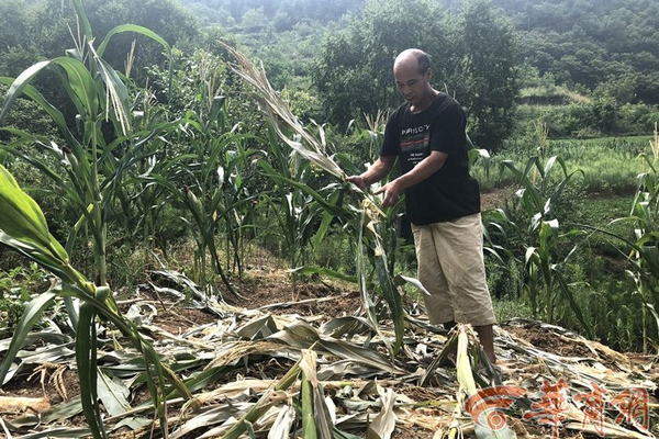 半岛在线登录下载相关推荐2”