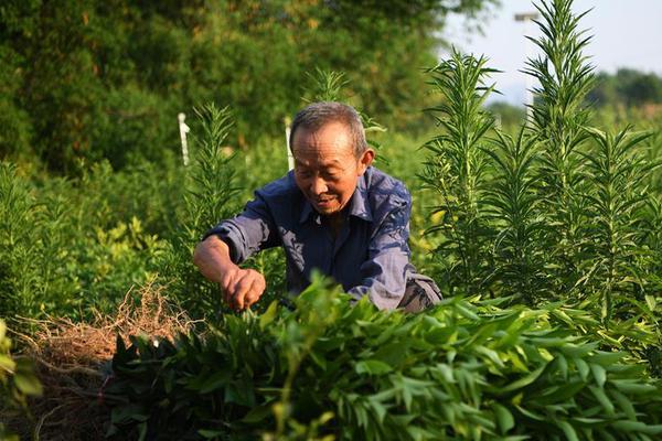 半岛娱乐下载相关推荐4